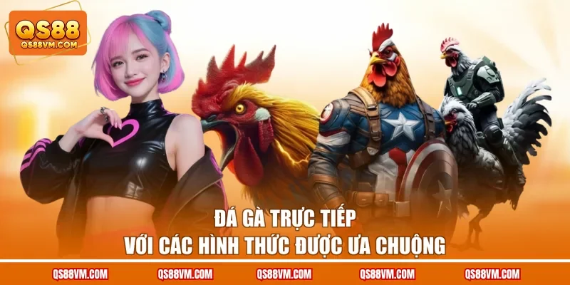 Đá gà trực tiếp với các hình thức được ưa chuộng
